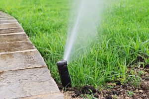 automatic sprinkler head watering lawn in lexington, ma