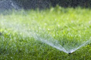 Lawn water sprinkler spraying water over grass in east weymouth, MA