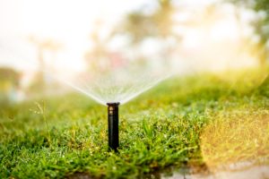 Close up of automatic grass, lawn pop-up sprinkler