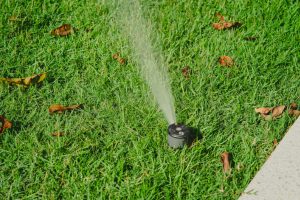 Sprinkler watering lawn and autumn leaves.