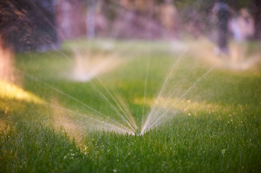 Lawn sprinkler spaying water over green grass on a spring morning