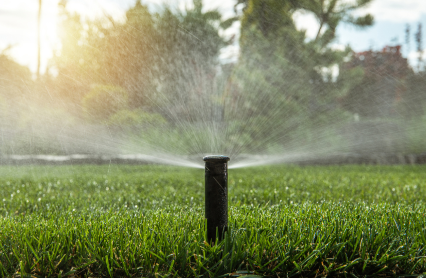 Automatic Backyard Garden Lawn Water Sprinkler in Action