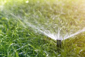 Lawn water sprinkler spraying water over green fresh